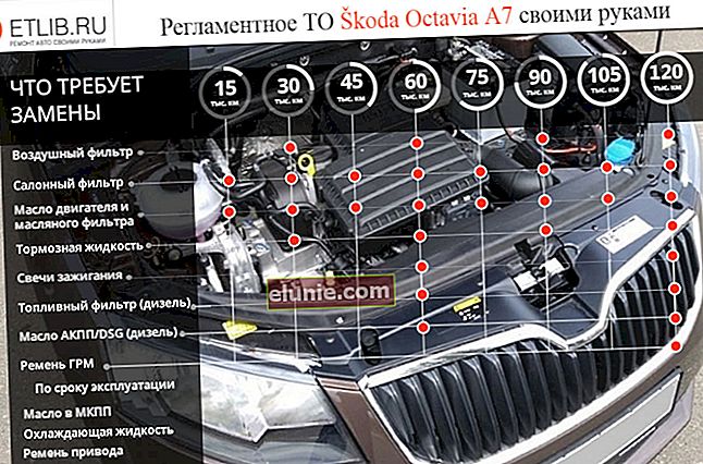 Regolamento di manutenzione Skoda Octavia A7. Intervalli di manutenzione per Skoda Octavia A7
