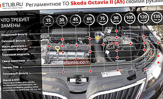 Normas de mantenimiento Skoda Octavia 2 A5. Intervalos de mantenimiento para Skoda Octavia II A5